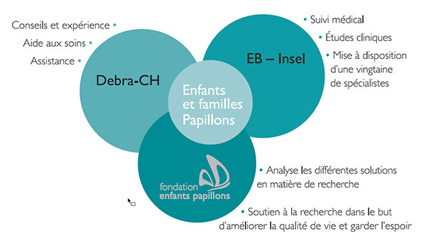 fonctionnalite